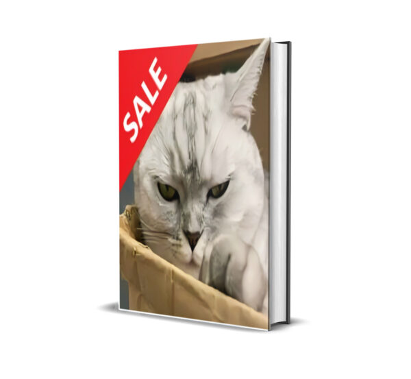 Hunting Cat Scalper EA MT4