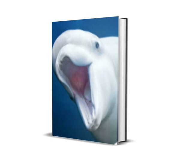 Beluga