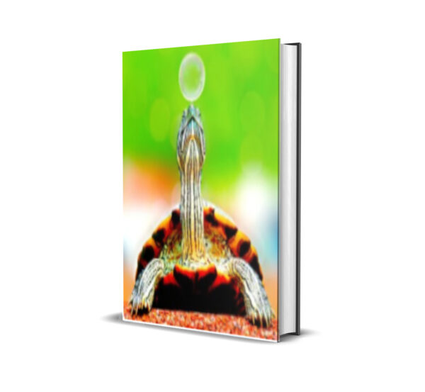 Turtle Scalper Pro EA V3.0 MT4