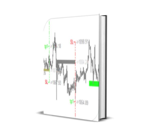 Entry Market Position MT5