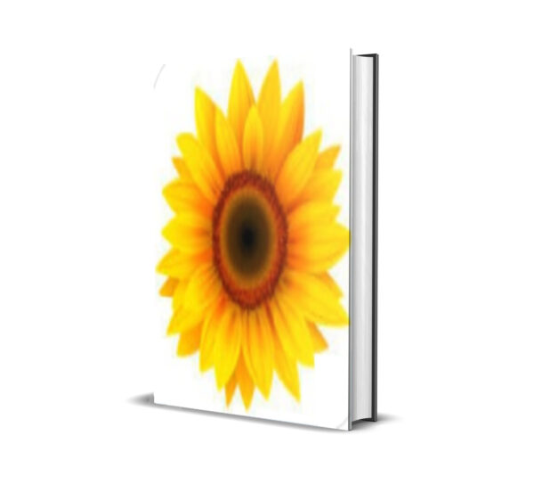 Girassol Sunflower MT5