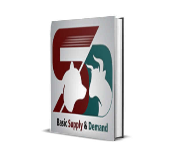Basic Supply Demand MT5 Version 1.14