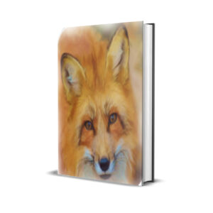  Fox EA MT5 Version 2.0