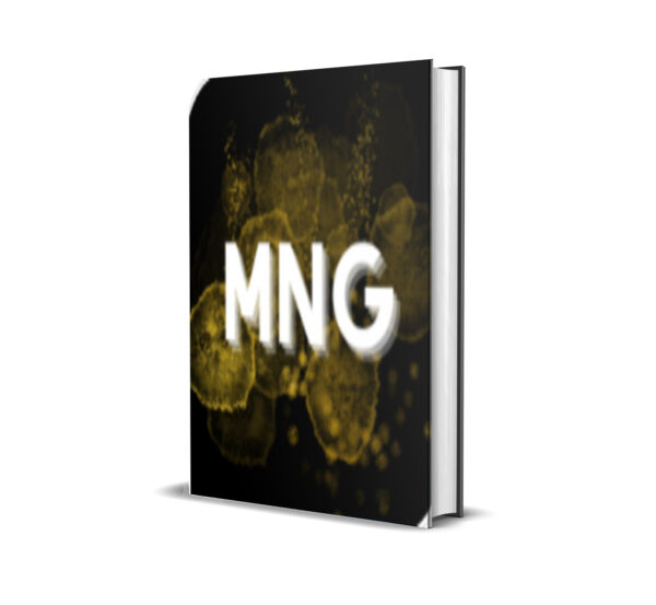 MNG MT5 EA v1.1