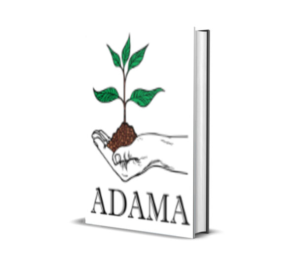 Adama MT5 v1.0 
